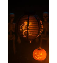 Halloween Cadılar Bayramı Japon Feneri Pilli 20 cm Siyah Renkli İskelet Desenli Korku Aksesuarı