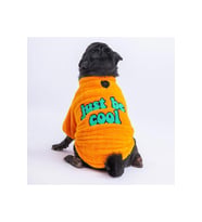 Pawstar Kedi ve KÜÇÜK Köpek Yellow Just Sweat XL Sırt38cm Göğüs55cm Boyun34cm