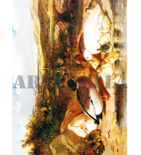 Artebella 1373K Büyük Kolay Transfer 23x34 cm 