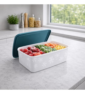 Lexroo Derin Dondurucu Saklama Kabı 2 Litre No Frost Saklama Kabı Alaska Derin Dondurucu Saklama