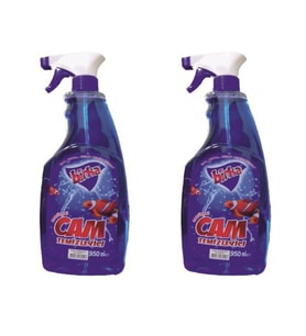 2'li Püskürtmeli Parfümlü Cam Temizleyici 950 ml.