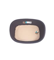 M-Pets Java Plastik Köpek Yatağı+minder (L)