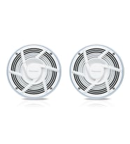 Pioneer TS-MR2040 200W 20 cm Marine Hoparlör