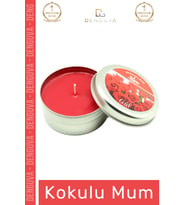 #Mum Dekoratif Hediyelik Şık Modern Tasarım Metal Kutu Kokulu Mum Oda Kokusu 120G Teneke Kutu