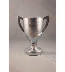 Ziraat Türkiye Kupası 20 Cm (400gr)