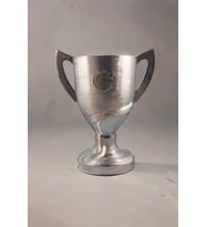 Ziraat Türkiye Kupası 20 Cm (400gr)