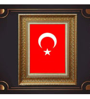 Gold Altın Kalın Çerçeveli Paspartulu Tablo s56