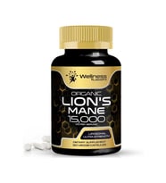 Wellness labsrx Organic Lion's Mane 15,000 120 Kapsül