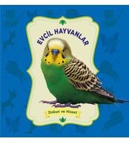 Evcil Hayvanlar - Dokun ve Hisset