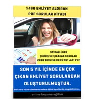 Yüzde Yüz Ehliyet Aldıran Soru Kitabı Seti