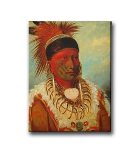 Kızılderili Portresi  Canvas Tablo ETD104