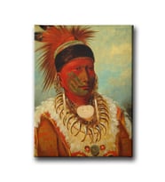 Kızılderili Portresi  Canvas Tablo ETD104