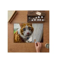 Mavi Gözlü Sarı Kedi Tasarımı 240 parça Ahşap Puzzle Ahşap Kutuda MP05540