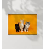 1. Renkli Kedi Üçlüsü Poster (Çok Renkli)
