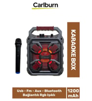 Yüksek Ses Şarj Edilebilir Aux Usb Hafıza Kart Girişli Kablosuz Hoparlör Mikrofon Siyah Karaoke Box