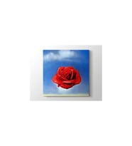 DBSanatevi Salvador Dali - Meditative Rose Tablo 40 X 60 cm