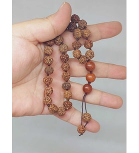 Rudraksha Tohum Düğümlü 33lük Tesbih  (51622)