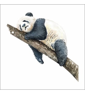 Uyuyan Panda Sticker Duvar Sticker 30x20 CM