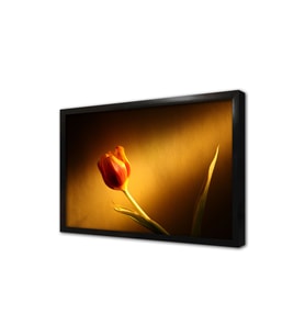 Kırmızı Gül Çerçeveli Mdf Tablo