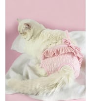 Rosie Rose Kemique's Secret Kedi İç Çamaşırı Regl Külot Don