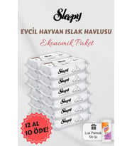 12 AL 10 Öde Evcil Hayvan Mendili