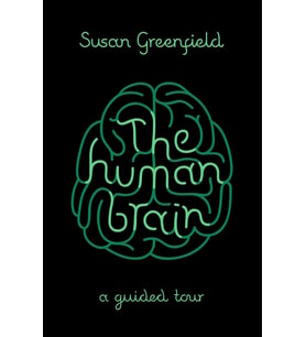 The Human Brain: A Guided Tour