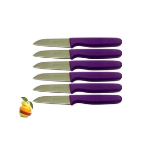 Sürmene Sürbısa 061007 Meyve Bıçağı 6'lı Set, şık ve dayanıklı tasarım