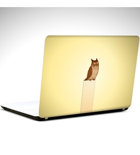 Baykuş Laptop Sticker 14 inch (35X26CM)