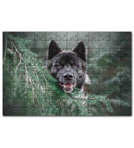Cakapuzzle Akita Kahverengi Siyah Köpek Çam Yaprakları Puzzle Yapboz MDF (Ahşap) (120 Parça)