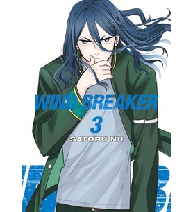 Wind Breaker 3