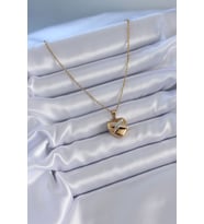 Northcity 316L Çelik Gold Renk Zirkon Detay Kalp Model Kadın Kolye 5886