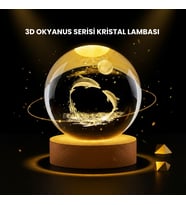 LED Işıklı Yunus Küre Ahşap Standlı Modern Dekoratif Aksesuar