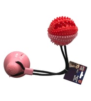 Playfull Yapışkanlı Ödül Hazneli Köpek Oyuncağı 7x9x54 Cm Pembe