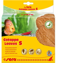 Catappa Leaves S 10-15 cm (10 adet) - Doğal su arıtımı için deniz badem ağacı yaprakları