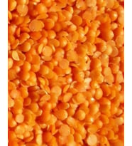 Orti İtal Futbol Kırmızı Mercimek 25 Kg.