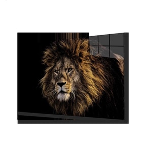 Aslan 20 Hayvan Cam Tablo