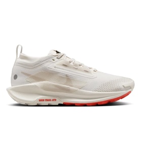 Nike Pegasus Trail 5 Gore-tex FQ0912-100