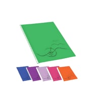 Defne  A4 Basic Spiralli Çizgili Defter (96 Yaprak)