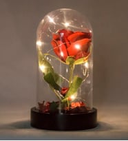 Led Işıklı Fanus İçinde Kırmızı Yapay Gül
