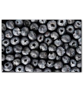 Cakapuzzle Yabanmersini Meyveleri Yanaşık Düzen Puzzle Yapboz MDF (Ahşap) (120 Parça)