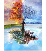Ağaç Sayılarla Boyama Seti 60x75 cm (Tuvale Gerili)