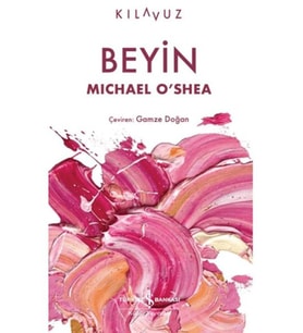 Beyin