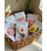 Kartlı Papatya Mum - 15 Adet - Doğal Soya, Kokulu, El Yapımı - Özel Gün Hediyelik - Mumelia Candles