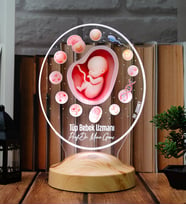 Tüp Bebek Uzmanı IVF Doktoru 3D LED Lamba, Embriyoloji ve Kadın Doğum Uzmanına Özel Hediye
