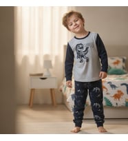 Çocuk Gri Renk Dinazor Baskılı Polar 2'li Takım CB1031