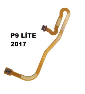 Huawei Uyumlu P9 Lite 2017 Ara Film