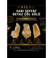 Sertifikalı Sarı Şeffaf Beyaz Çöl Gülü Selenit Taşı 3-4 cm Doğal Kristal Ham Koleksiyonluk