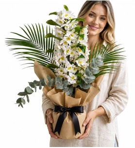 Tasarım Buketli Saksıda Dendrobium