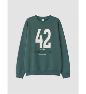 LCW Kids Yeşil Bisiklet Yaka Erkek Çocuk Sweatshirt