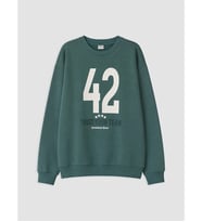 LCW Kids Yeşil Bisiklet Yaka Erkek Çocuk Sweatshirt